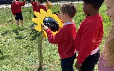 Outdoor Musical Equipment